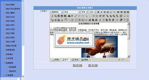 專業(yè)進(jìn)出口服務(wù)公司整站解決方案 美工大氣后臺(tái)完整，精品源碼共享